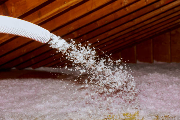 Best Commercial Insulation in Coldstream, OH